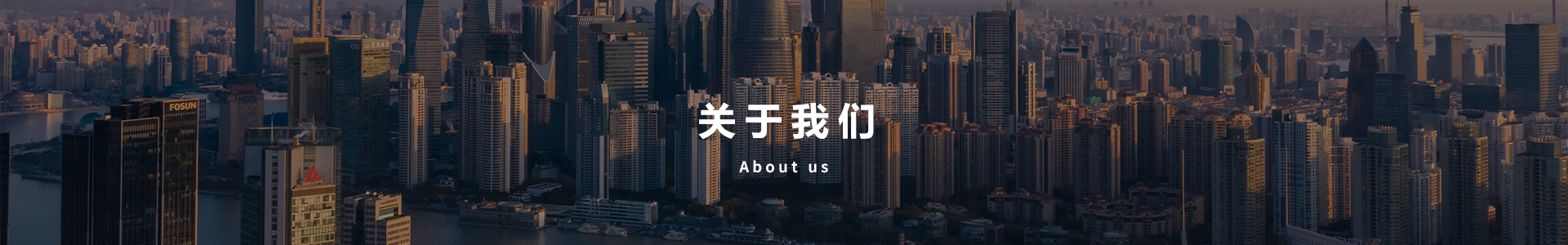 內(nèi)頁banner